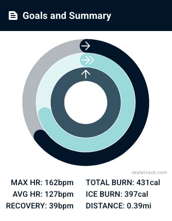 Summary Statistics and Goals screenshot